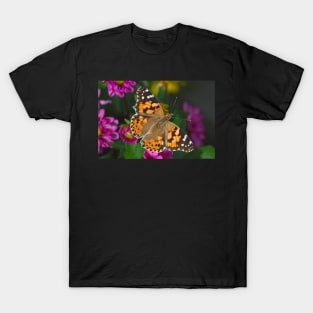 Painted Lady Butterfly (Vanessa cardui) T-Shirt